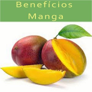 Manga dieta