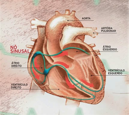 Aprenda a identificar os sinais que o coração da, quando algo não está bem...