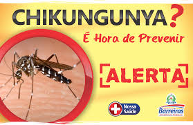 Resultado de imagem para chikungunya IMAGEM