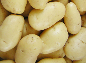 Batatas