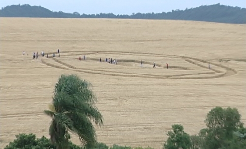 Agroglifos em Ipuaçu